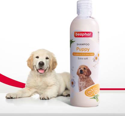 Beaphar Puppy Dog Extra Soft Shampoo with Macadamia Oil & Aloe Vera, pH Balanced, Anti-dandruff, Whitening and Color Enhancing, Anti-fungal, Anti-Bacterial Natural Dog Shampoo