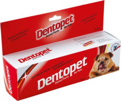 All4pets DP96325 Pet Toothpaste