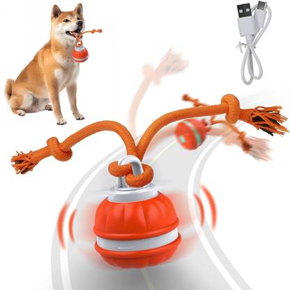 PROBEROS Electric Cat Ball Toy USB Rechargeable LED Light Chirping Teaser Toy for Pets Plastic Fetch Toy For Dog & Cat