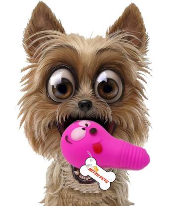 NITZU PETS Squeaky Bulb Toys for Dogs, Funny Dog Chew Toys,Puppy Chew Toys for Teething Plastic Chew Toy For Dog