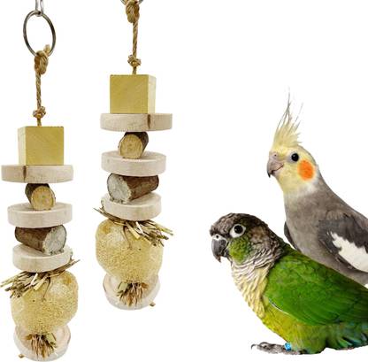 CONGO NATURAL PARROT TREAT 12 inch Set of 2 Pcs Natural Luffa Chewing Toy for Wooden, Stainless Steel Chew Toy For Bird