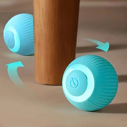 DogTrust 1 pcs Automatic Interactive Cat Toy Ball, Indoor Cat Moving Toy toys ball Plastic Fetch Toy For Cat