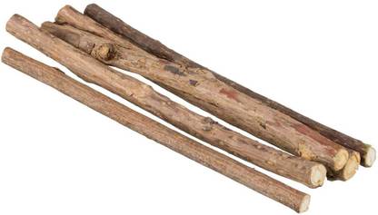 trixie Matatabi Chewing Stick, Supports Dental Hygiene and Cleans Teeth - 10 Gm Wooden Stick For Cat