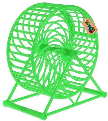 DreamAuro Jumbo Running cum Jogging cum Exercise Wheel For Hamster / Dwarf (13 cm, Green) Plastic Training Aid, Ball For Hamster