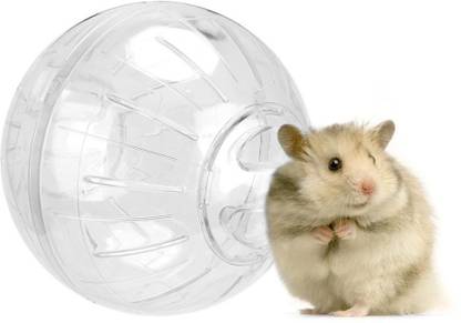 Western Era Hamster Exercise Ball Transparent, attractive & Training toy for Hamster, Dwarf Plastic Ball For Hamster