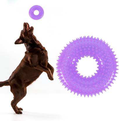 VOILA Squeaky Ring Dog Toy - Violet - Set of 1 Rubber Squeaky Toy For Dog