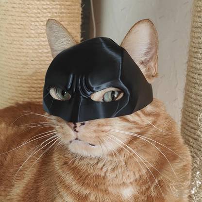 OGDeck Batman Cat Mask Plastic Soft Toy For Cat