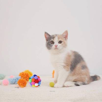 Lyla Pet Cat Toy Set Colorful Bouncy Balls Cat Catch Exercise Interactive Play Wool Soft Toy For Dog & Cat