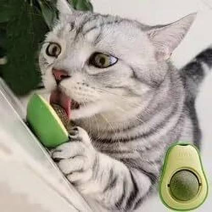 YMS Cat Toy Organic Avocado Cat Toy Cat Nip Silver vine Mint Cat Lickable Treat Cat Plastic, PP (Polypropylene) Soft Toy, Training Aid For Cat