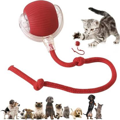 JANCOM Silicone, Plastic Ball For Dog & Cat
