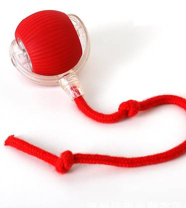 KIZJORYA Rolling Ball, Soft Toy, Chew Toy, Training Aid, Rubber Toy For Dog & Cat Plastic Ball For Dog & Cat