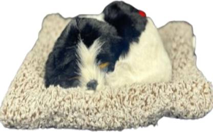 MAHAS Sponge Plush Toy For Dog & Cat