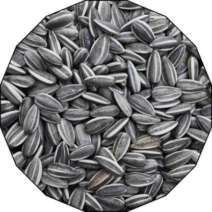 Birddy Seeds Sunflower Seed for Bird, Sunflower for All Birds Food Vegetable Bird Treat