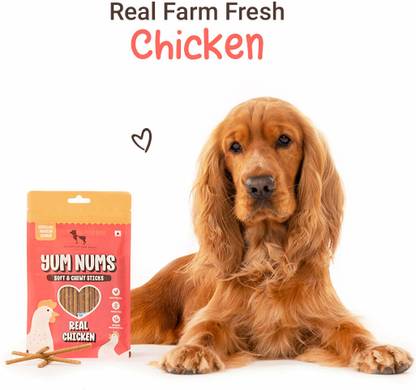 Heads Up For Tails Yum Nums Soft & Chewy Sticks Real Chicken Treat For Dogsx4 Dog Treat