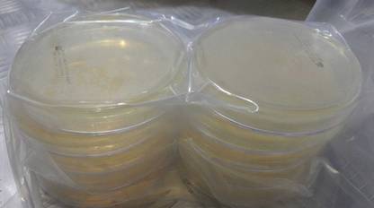 MAAT BIOTECH Polystyrene Disposable Petri Dish