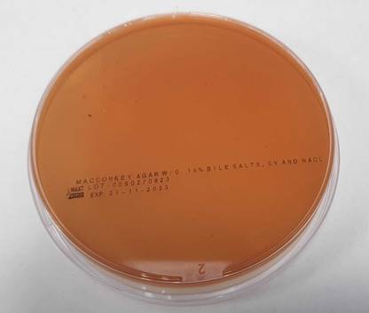 MAAT BIOTECH Polystyrene Disposable Petri Dish
