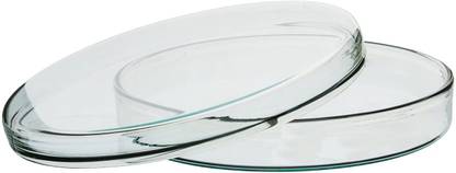 LABXPORT Glass Reusable Petri Dish