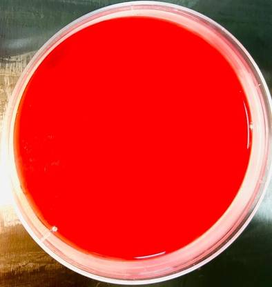 MAAT BIOTECH Polystyrene Disposable Petri Dish