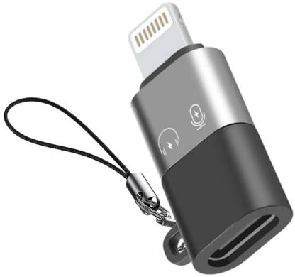 UBRONIK Grey iPhone OTG Connector Lightning Male Adapter to Type C Female Phone Converter