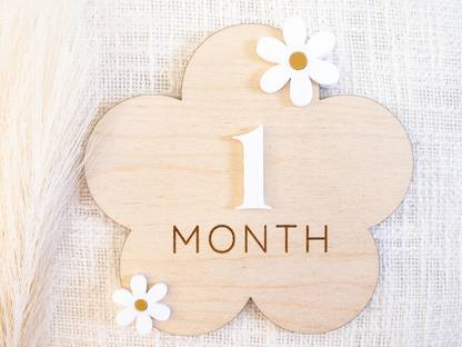 CHANGROBE Baby monthly milestone wood sign, daisy flower milestone card Photo Booth Board