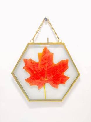 AksaCraft Hexagon frames Glass & Metal Hanging Frame/Photo-frame.(5x5) 10 inch Hexagon frames Glass