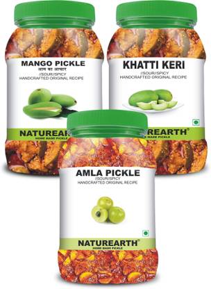NaturEarth 100% Natural Amla , Mango & Khatti Keri Pickle(600 g) Primium Quality Achar Mixed Pickle