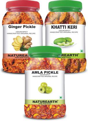 NaturEarth 100% Natural Amla , Ginger & Khatti Keri Pickle(600 g) Primium Quality Achar Mixed Pickle