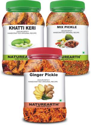 NaturEarth 100% Natural Ginger , Khatti Keri & Mix Pickle(600 g) Primium Quality Achar Ginger Pickle
