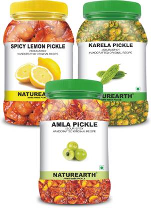 NaturEarth 100% Natural Amla , Spicy Lemon & Karela Pickle(600 g) Primium Quality Achar Mixed Pickle