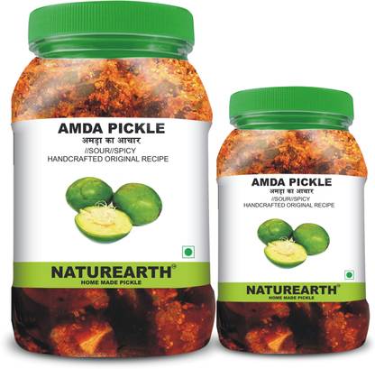 NaturEarth 100% Natural Amda Pickle (400g +200gm) Primium Quality Achar Mixed Pickle