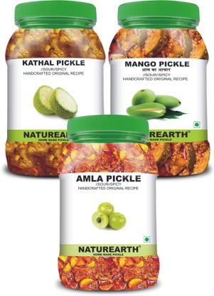 NaturEarth 100% Natural Amla , Kathal & Mango Pickle(600 g) Primium Quality Achar Mixed Pickle