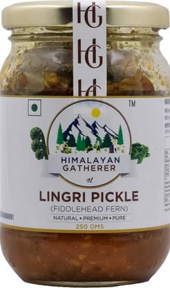 himalayan gatherer Lingri Pickle (fiddlehead fern) Mixed Pickle