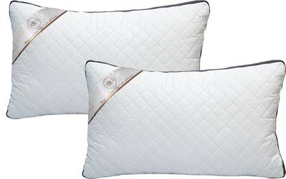 AYKA AYKA_EXOTICA_BOX_16*24 Microfibre, Polyester Fibre Geometric Sleeping Pillow Pack of 2