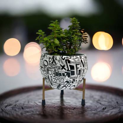 Decor House Alphabet Print Metal Pot for Office and Home Space - Plant Container Set