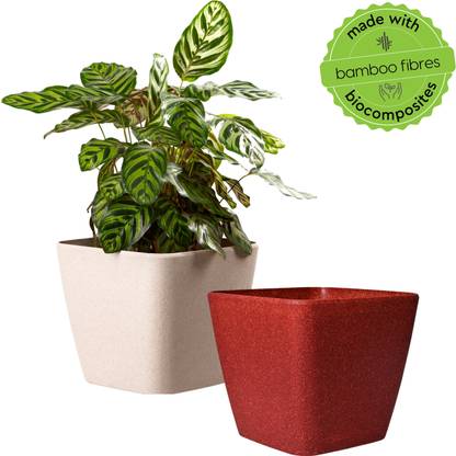 Eha Earth-Friendly 12 inch Daisy Self-Watering Planters | UV Protected, Bamboo Based Plant Container Set