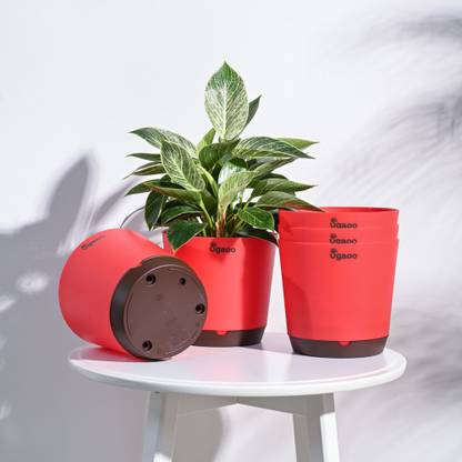 UGAOO Krish Red Self Watering Planter - 7.5 Inch, Round, Set of 5 Plant Container Set