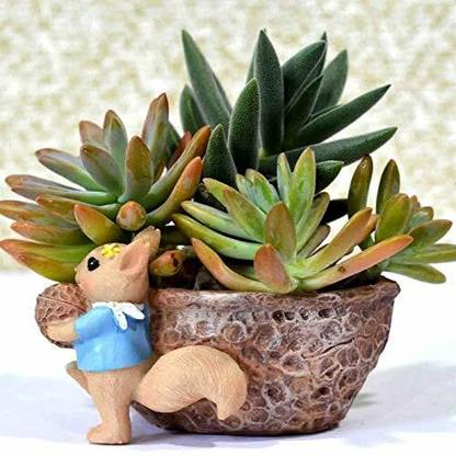 Sovincraft Walnut squirrel Resin Flower Pot and Pen holder Plant Container Set