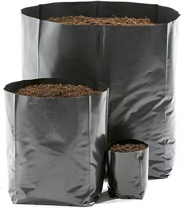 MAHADEV MAHADEV POLYPOT 20×20 Plant Container Set