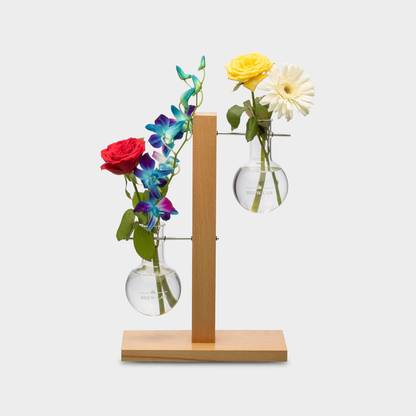Brew Lab Round Test Tube Tabletop Planter for House, Office or Shop Decoration Plant Container Set