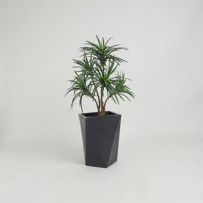 Yuccabe Italia YUCCABE ITALIA Fox B DMD 18 In Grey Planter for Indoor and Outdoor Plant Container Set
