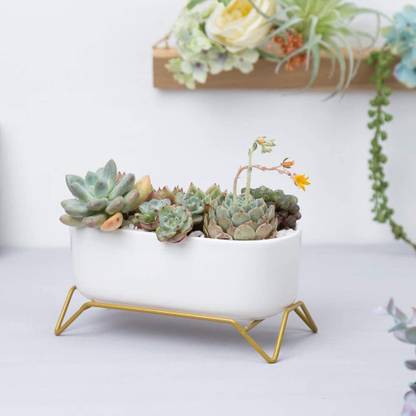 retail therapy Oval Shaped Mini Succulent Pot with Metal Base, Ceramic White Plant Pot Plant Container Set