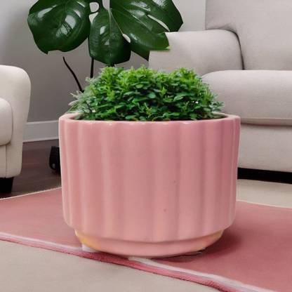 HomeFrills ceramic line design Pink colour planters pot Gamla Pot Size:(16*13 cm) Plant Container Set