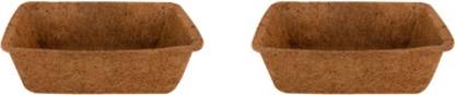Spranila Coconut Coir Seedling Tray - Premium (2 Tray) Microgreen Growing Trays Plant Container Set