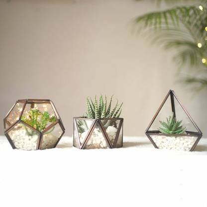 BEHOMA Metal Mini Terrarium Glass Planter, Antique Copper, Set of 3 Plant Container Set