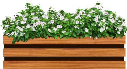 Vyani Brio Wooden Planter Box Rack, Wooden Texture, 22 x 6.5 x 6.5 in, 1 Unit Plant Container Set