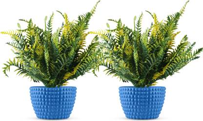 Blume Polka dot set of 2 Plant Container Set