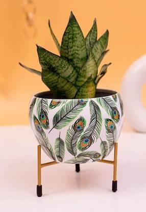 FNF Creation Metal Flower Pot for Indoor Plants Plant Container Set
