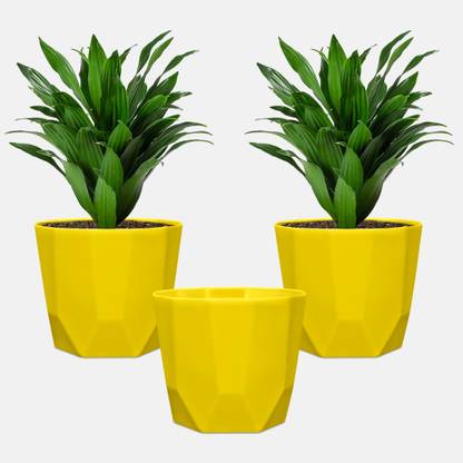 Yuccabe Italia Plant Container Set