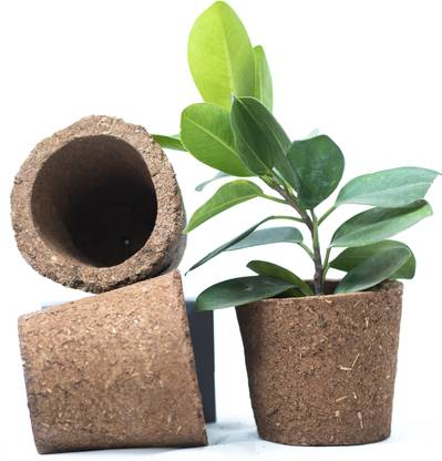 beyond milk Bio Pots | Made From Cow Dung,Leaf Powder,Geru & Joss Powder| Seed Germination Plant Container Set