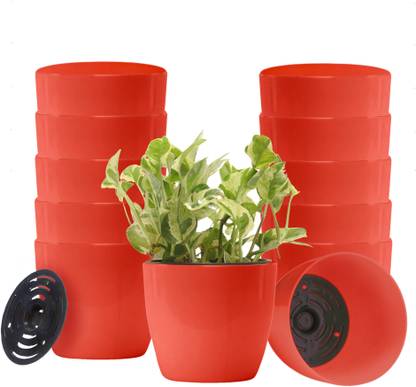 DOAP Plant Container Set